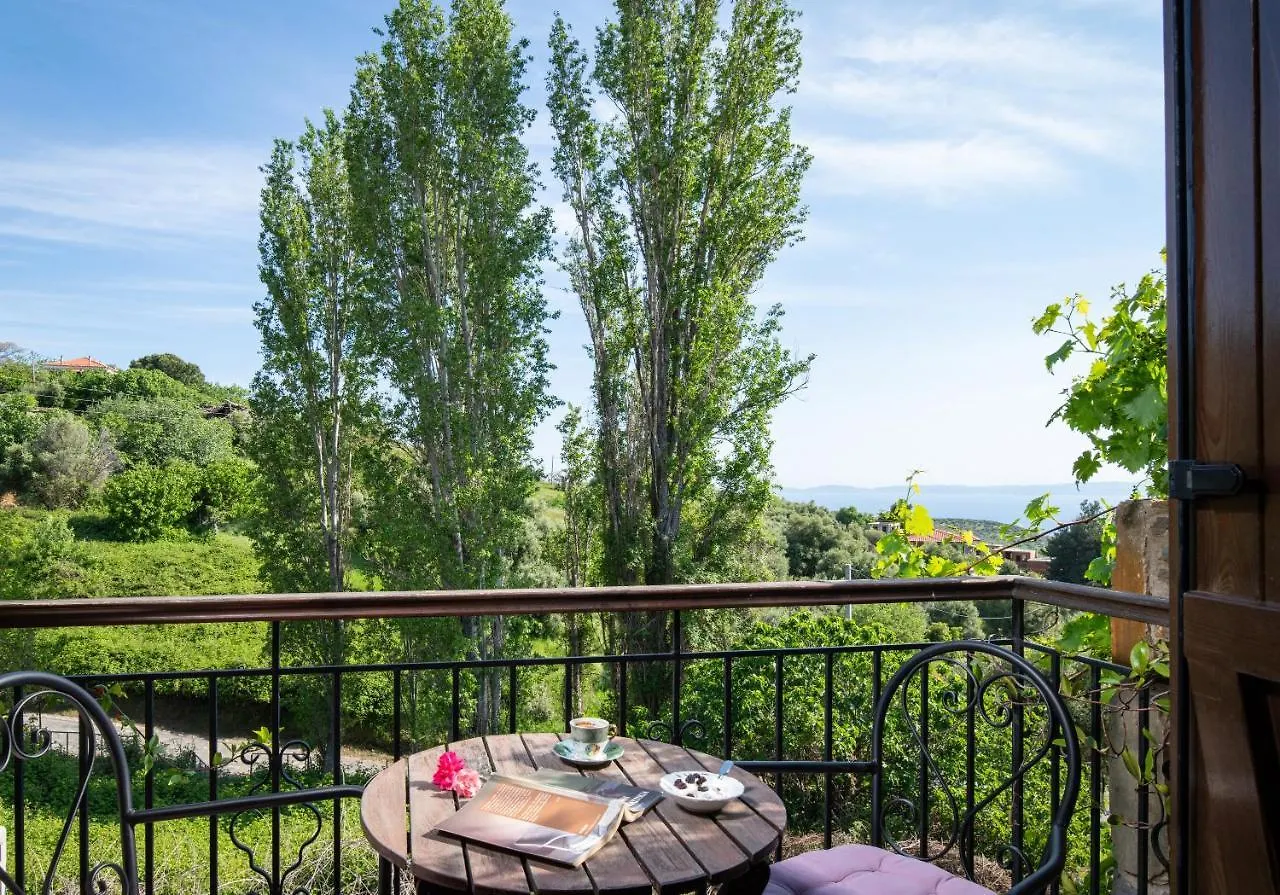 Chorostasi Guest House Parthenón 3*,  Yunanistan